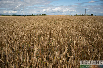 Moscow has alternative to grain deal
