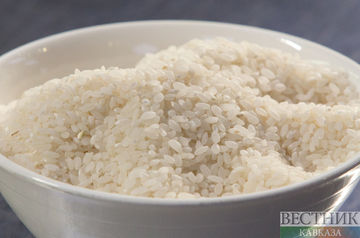 Rice harvesting starts in Kuban