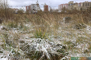 Early frosts expected in Moscow region on Tuesday