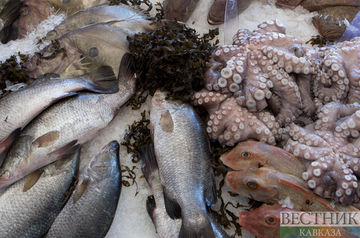 Russia bans Japanese seafood imports