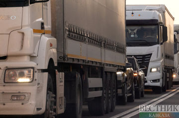 More trucks with humanitarian cargoes enter Gaza