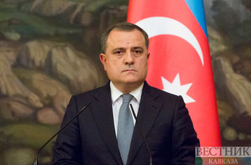 Azerbaijani Foreign Minister calls for de-escalation in Gaza Strip