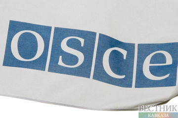 OSCE PA assesses Georgia’s role in regional stability