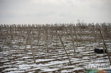 Foreign Ministry: Armenian mines continue to threaten lives of people in Azerbaijan