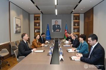 Azerbaijani FM discuss Armenia settlement with Secretary General of Council of Europe