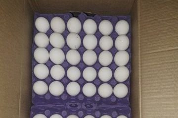 Azerbaijani eggs in Russia: third batch been imported