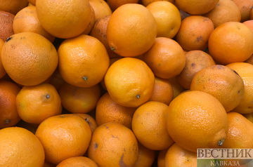Türkiye becomes leader in tangerines export to Russia