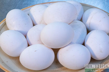 Kazakhstan may increase egg supplies to Russia