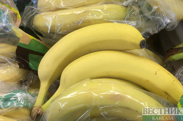 Ecuador to send delegation to Russia for banana supply talks