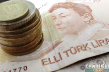Turkish Central Bank stops raising key rate
