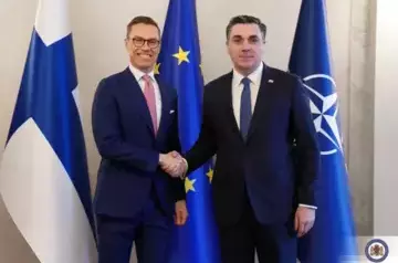 Georgia and Finland discuss issues of European integration