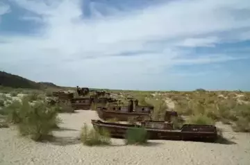 Dried-up Aral Sea in Uzbekistan being transformed into lush pastures