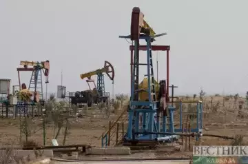 IEA: global oil production drops