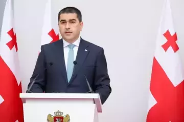 Georgian parliament speaker intends to sign foreign agent bill instead of president