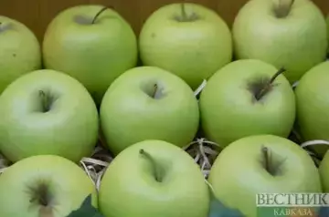 Putin assures Russians to have apples at affordable prices