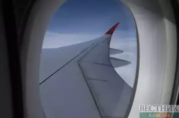 Bird prevents plane from Antalya to reach Sochi