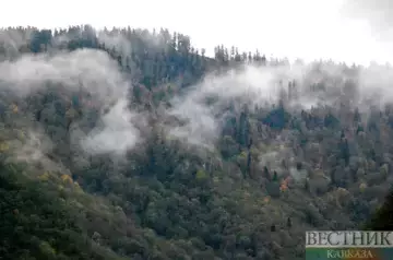 Türkiye battles forest fires