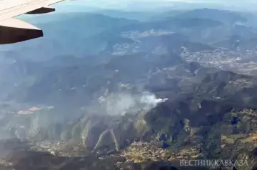 Türkiye assesses damage from forest fires