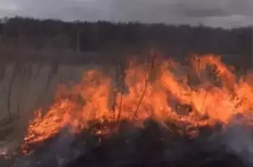 Fire spreads from burning dry grass to residential houses in Russia&#039;s Proletarsk