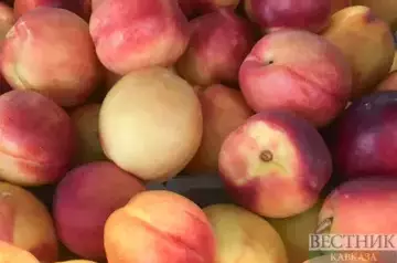 Georgia makes $26 mln on peaches, nectarines