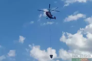 Firefighters continue efforts to contain forest fire in Georgia