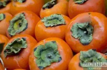 Azerbaijan world’s 2nd top persimmon exporter