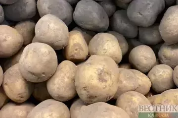 Russia achieves full potato self-sufficiency