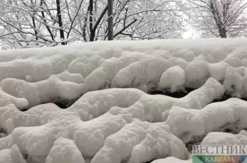 Special equipment deployed to clear snow in Adjara