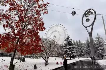 Almost record snow covers Moscow