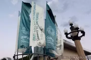 Energy Day kicks off at COP29