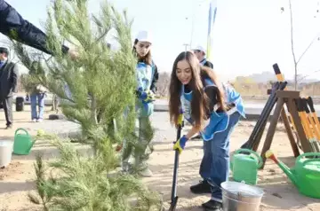 Thousand of young trees planted in Baku