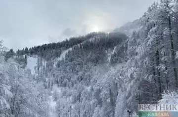 Avalanche danger declared in mountains of Sochi