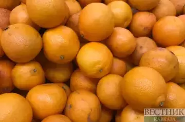 Main suppliers of tangerines to Stavropol territory announced