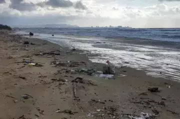 Beach in Anapa cleaned of spilled oil