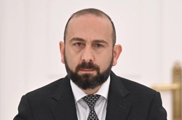Armenian and French FMs discuss cooperation issues
