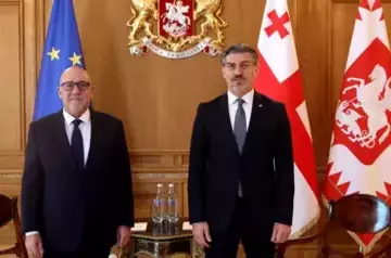 President of Georgia meets with Turkish Ambassador