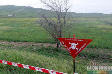 Azerbaijan neutralizes over 500 mines and unexploded ordnances this week