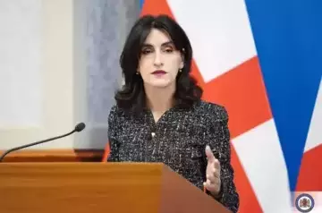 Georgian Foreign Minister to attend session of Committee of Ministers of Council of Europe