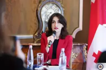 Georgia expects clarity from USA on strategic partnership