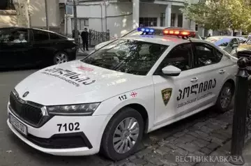 Former Defense Minister arrested in Georgia
