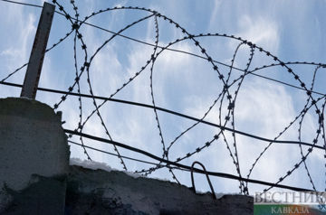 Hamas refutes reports about readiness to release hostages
