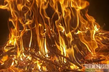 Over 50,000 people evacuated due to wildfires in Türkiye