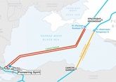Bulgaria starts getting transit-free Russian gas via TurkStream