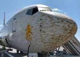 &#039;Locust swarm&#039; forces Ethiopian airliner to divert