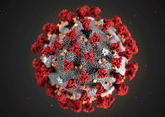 World Bank not considering new China loans to fight coronavirus