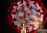 Herbal medicine being tested for treatment of coronavirus in Iran