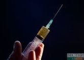 Pet cat catches coronavirus in Hong Kong