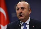 Cavusoglu recalls Turkey&#039;s stance on S-400 issue
