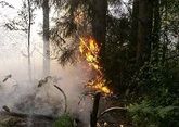 Armenia deliberately burns forests in Shusha