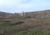Footage from liberated Juvarli village of Fuzuli region revealed (VIDEO)
